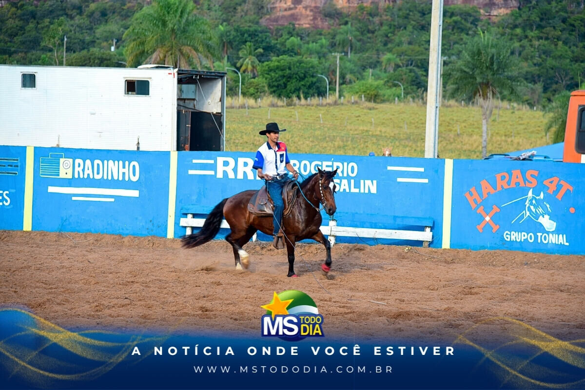 Imagem da Galeria